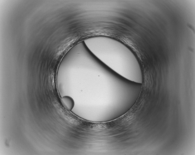 X0000102010398200807180916