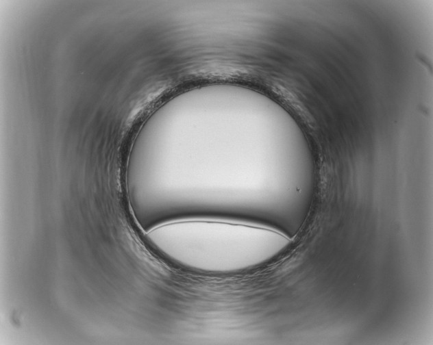 X0000102010399200807180916