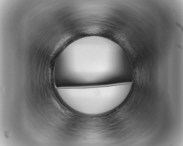 X0000102010400200807180915