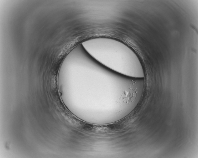 X0000102010401200807180915