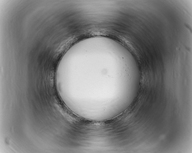 X0000102010402200807180915