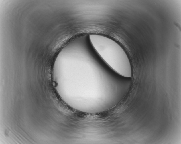 X0000102010403200807180915