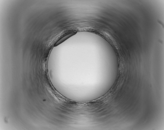 X0000102010405200807180915