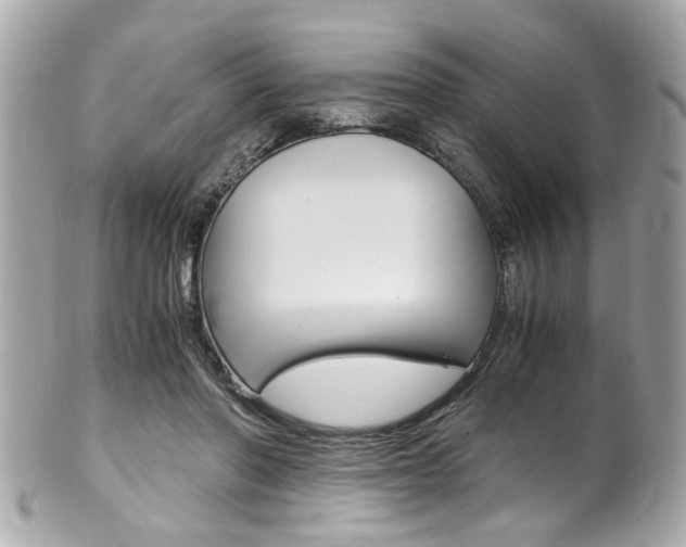 X0000102010406200807180915