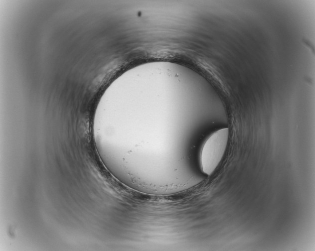X0000102010407200807180915