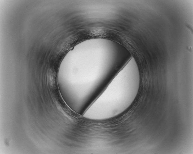X0000102010408200807180915