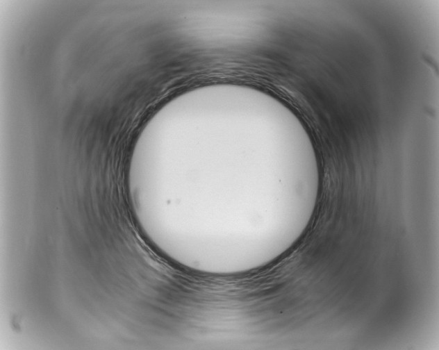 X0000102010409200807180915