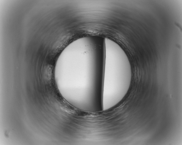 X0000102010412200807180915