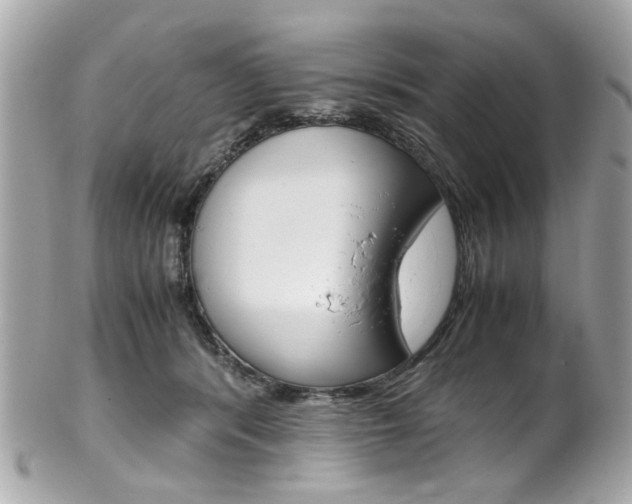 X0000102010416200807180915