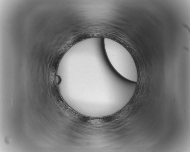 X0000102010417200807180915