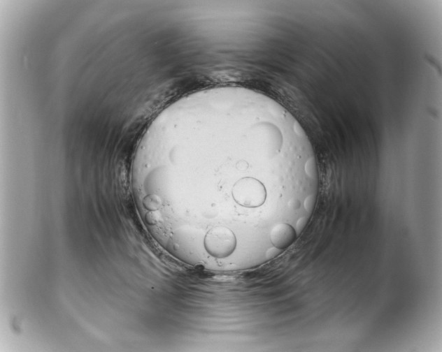 X0000102010418200807180915