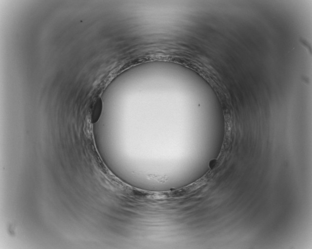 X0000102010419200807180915