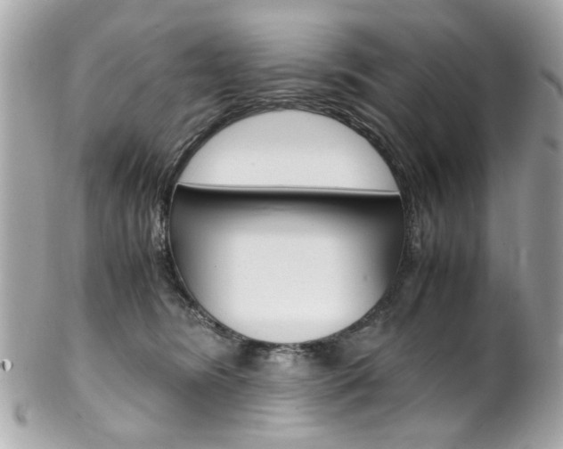 X0000102010420200807180915