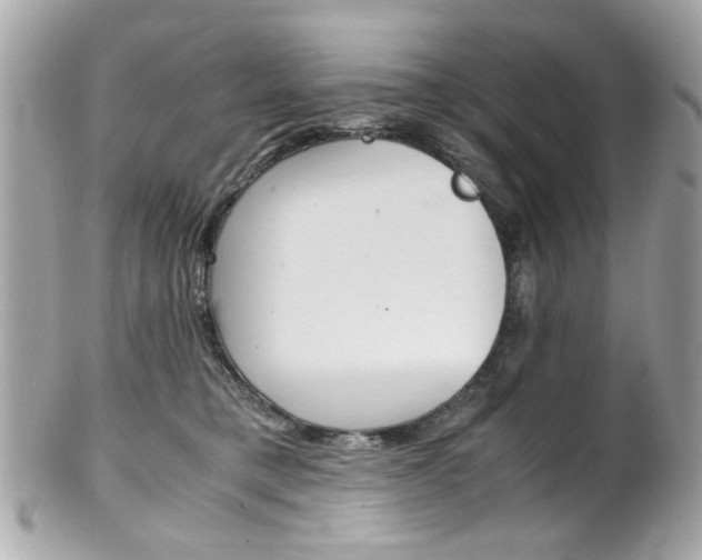 X0000102010421200807180915