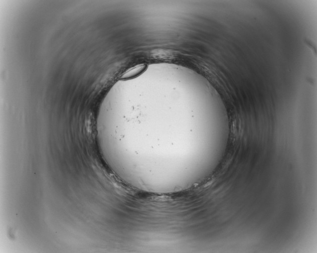 X0000102010424200807180915