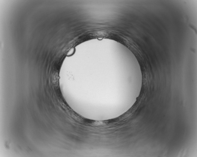 X0000102010425200807180915