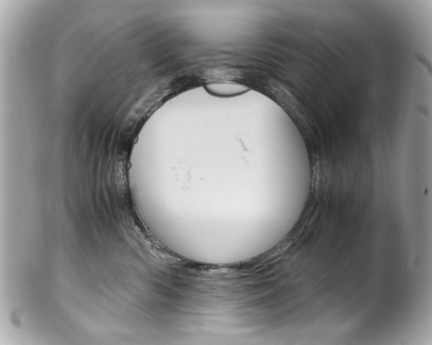 X0000102010426200807180915