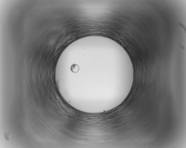 X0000102010427200807180915