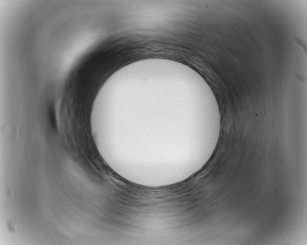 X0000102010429200807180915