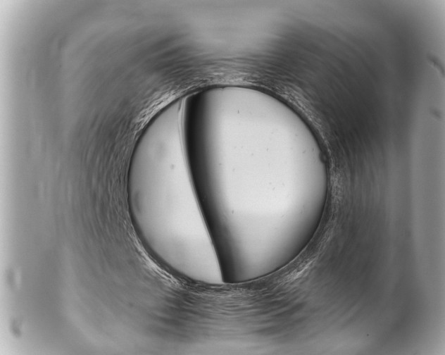 X0000102010433200807180914