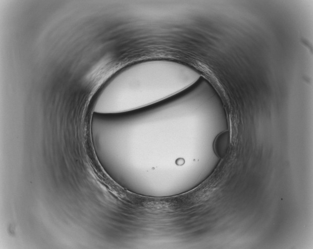 X0000102010435200807180914
