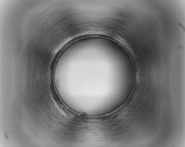 X0000102010436200807180914