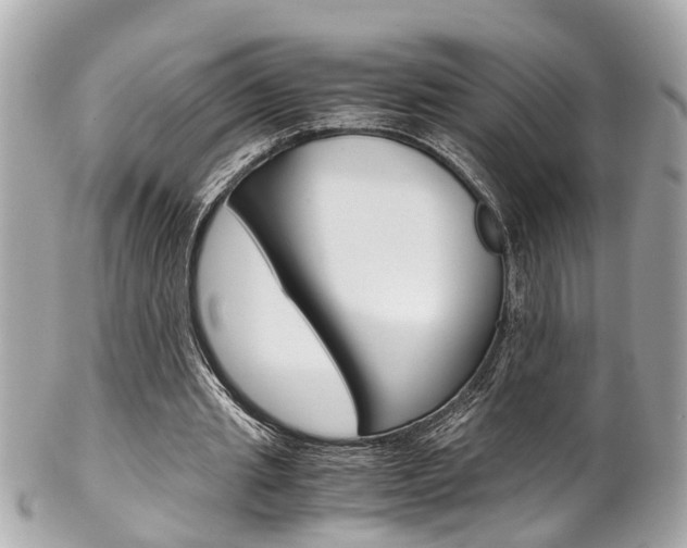X0000102010437200807180914