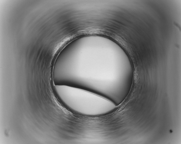 X0000102010438200807180914