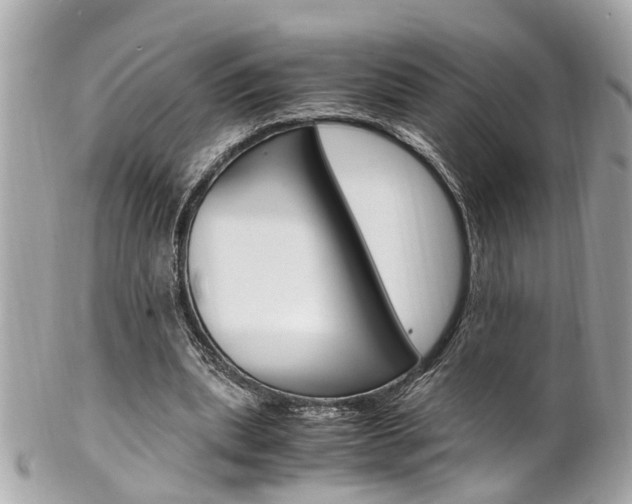 X0000102010439200807180914