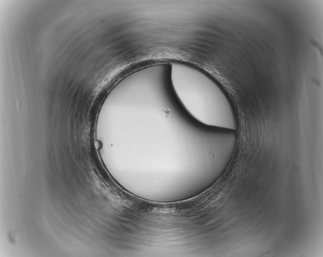 X0000102010440200807180914