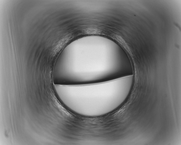 X0000102010441200807180914