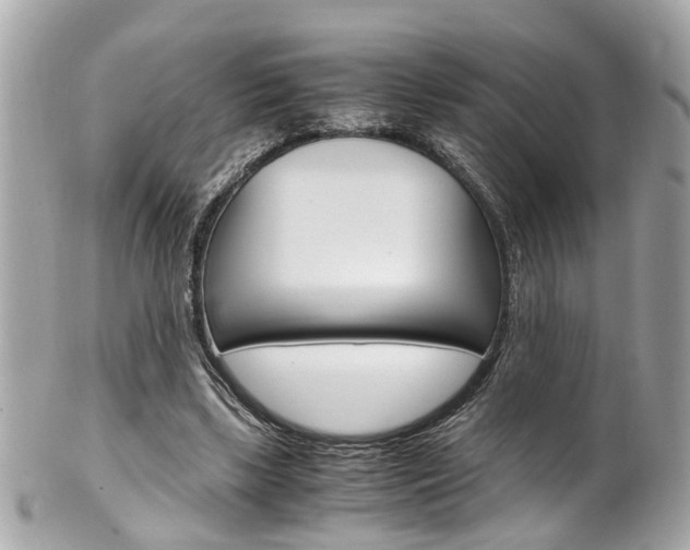 X0000102010443200807180914