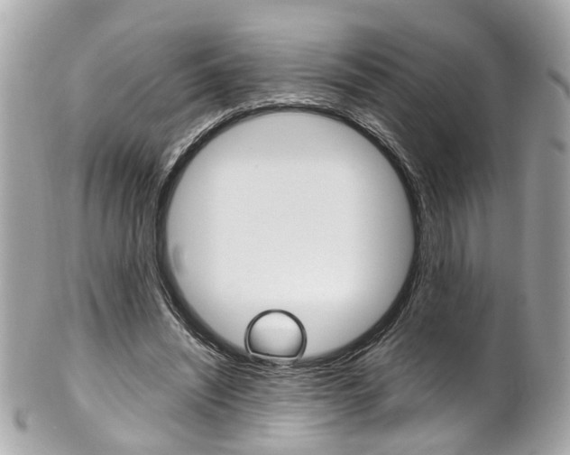 X0000102010444200807180914