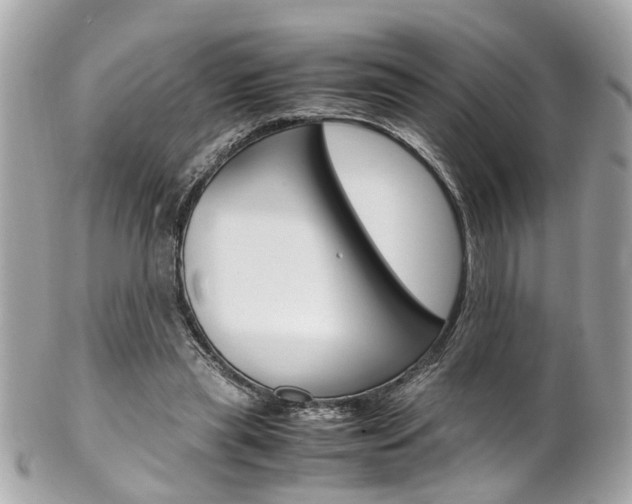X0000102010445200807180914
