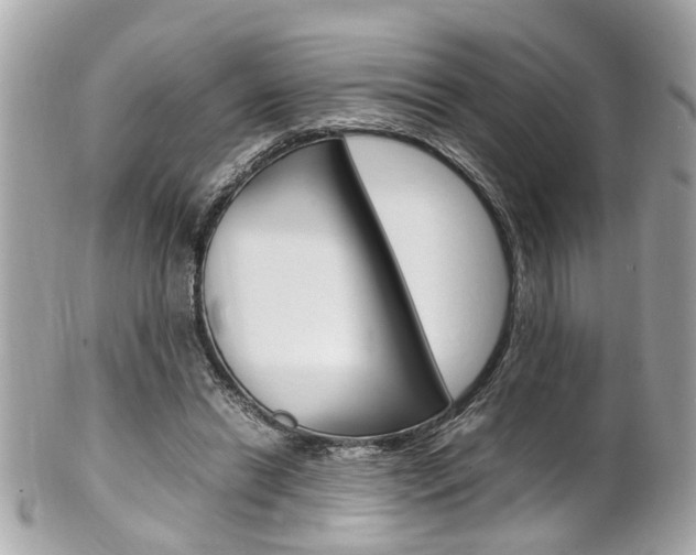 X0000102010446200807180914