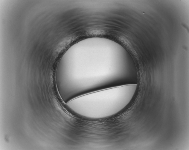 X0000102010447200807180914