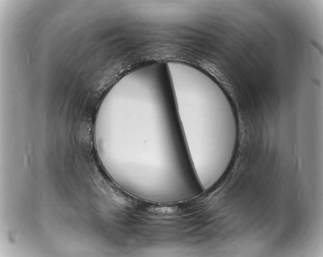 X0000102010449200807180914
