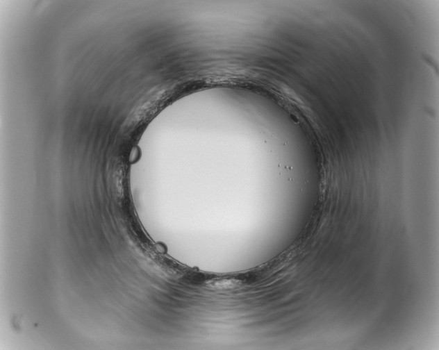 X0000102010452200807180914