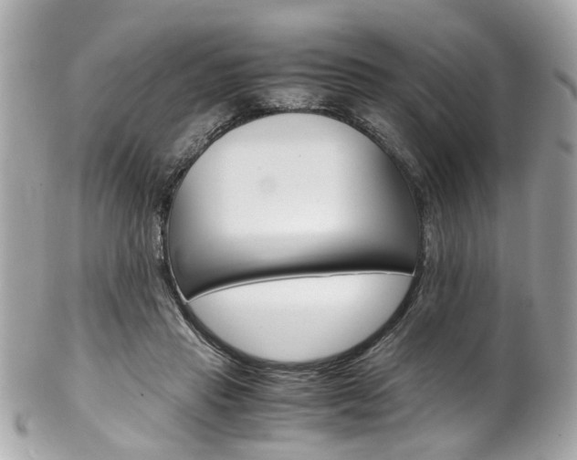 X0000102010453200807180914