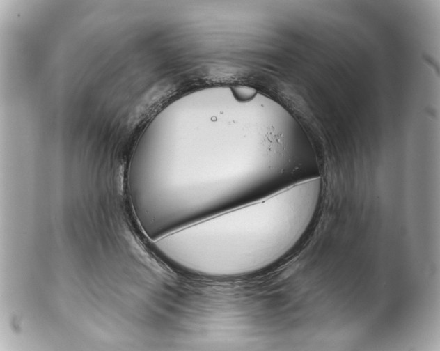 X0000102010454200807180914