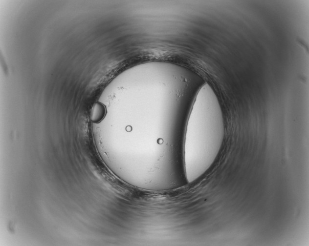 X0000102010456200807180914