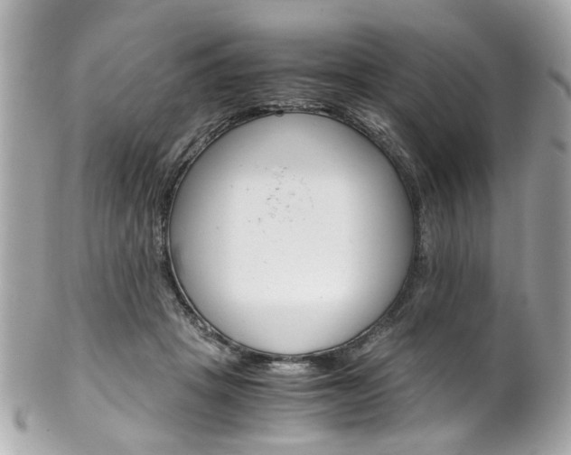 X0000102010457200807180915