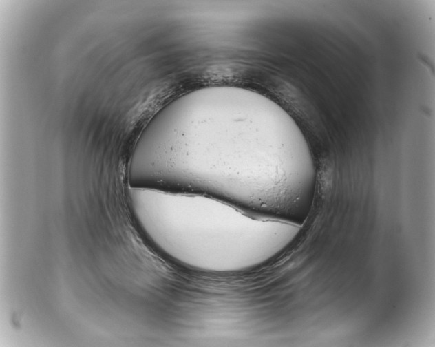 X0000102010458200807180915