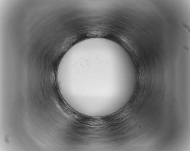 X0000102010459200807180915