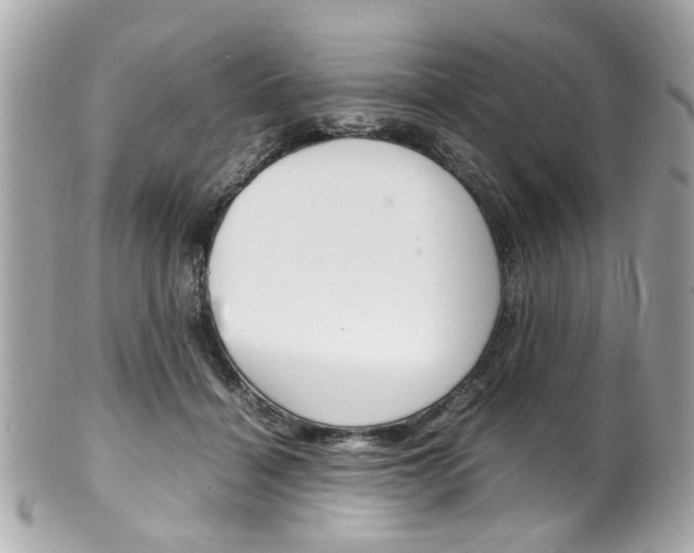 X0000102010460200807180915