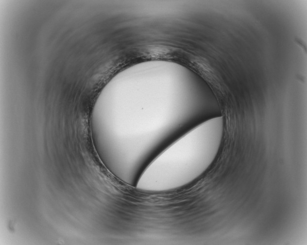 X0000102010461200807180915