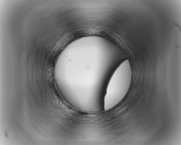 X0000102010462200807180915
