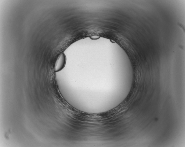 X0000102010463200807180915