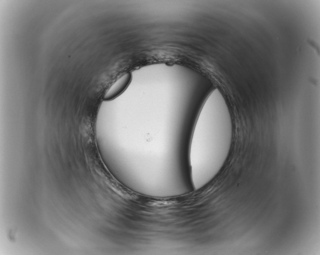 X0000102010465200807180915