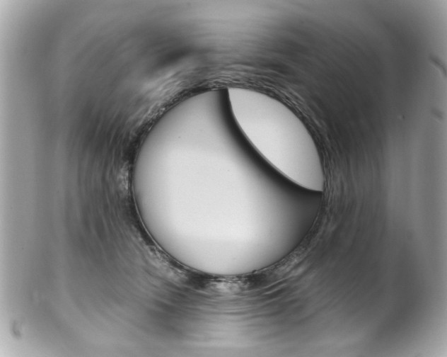 X0000102010466200807180915